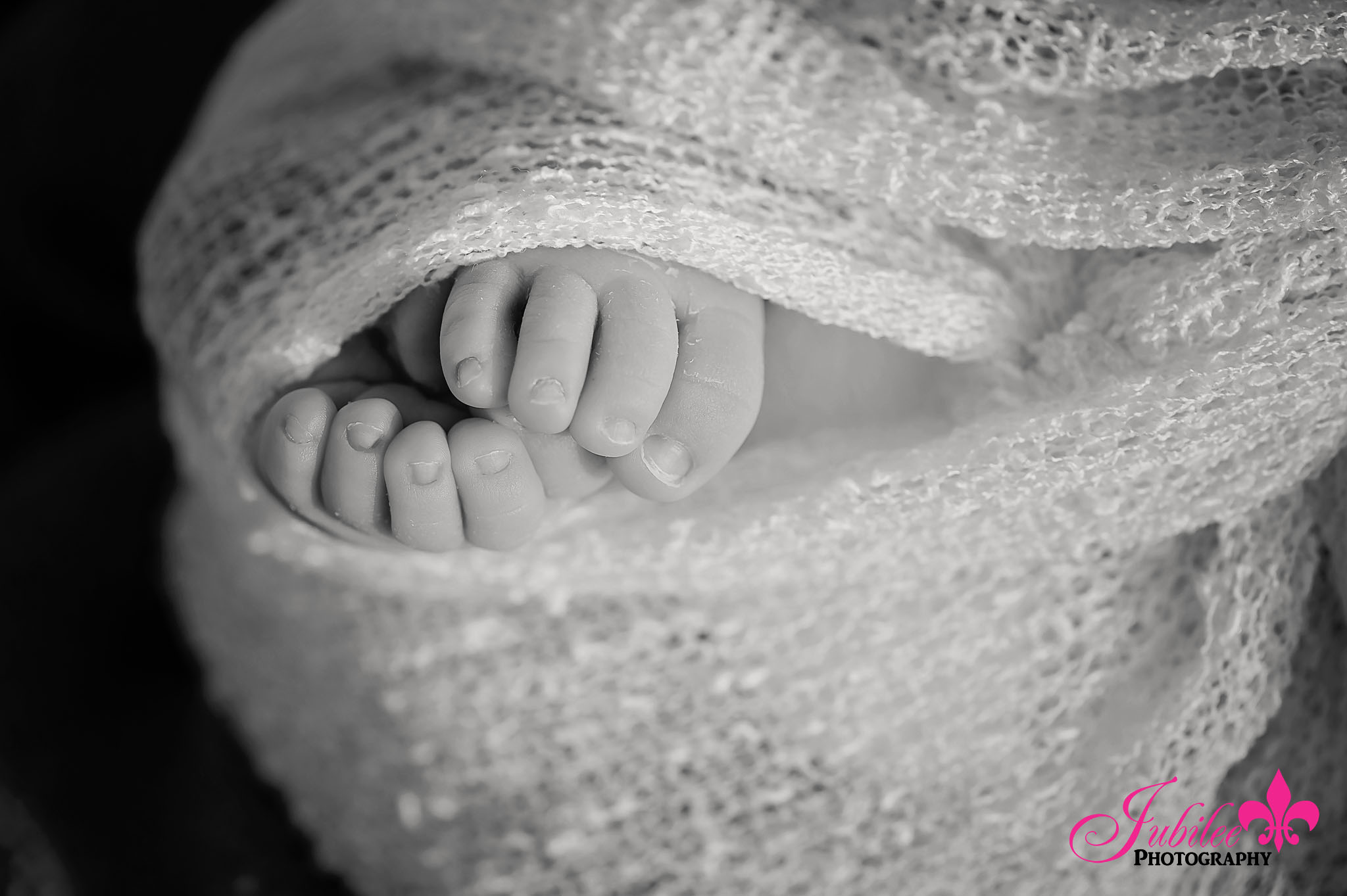 destin_newborn_photographer_6237